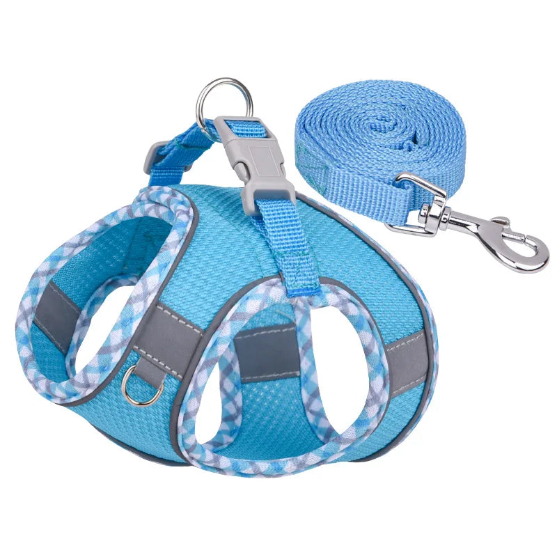 Adjustable Dog Harness and Leash Set