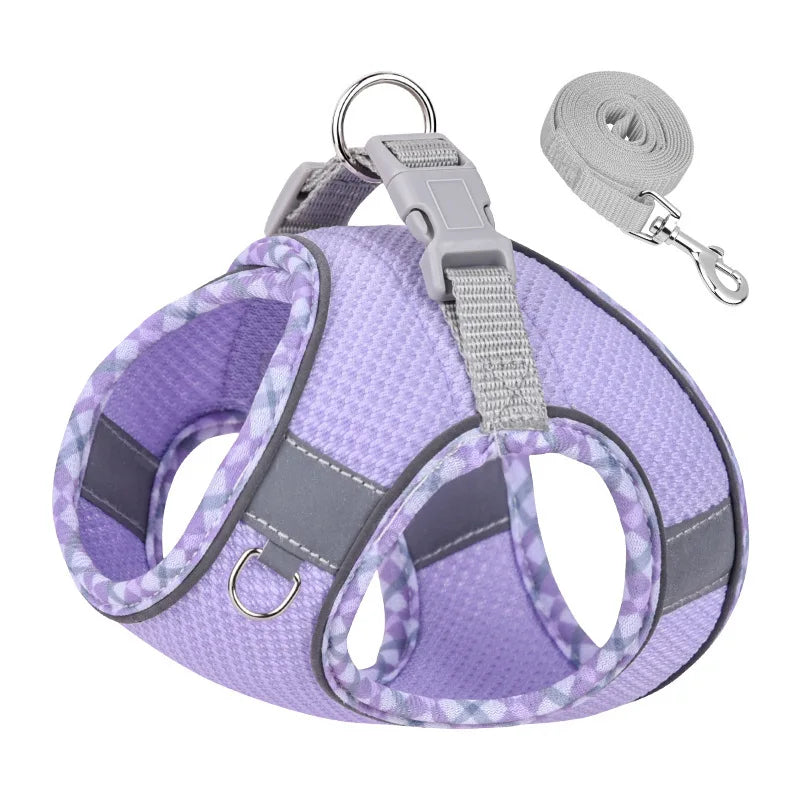 Adjustable Dog Harness and Leash Set