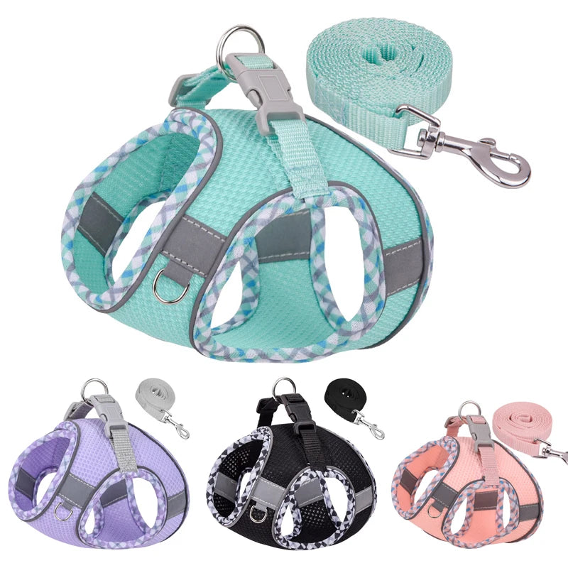 Adjustable Dog Harness and Leash Set