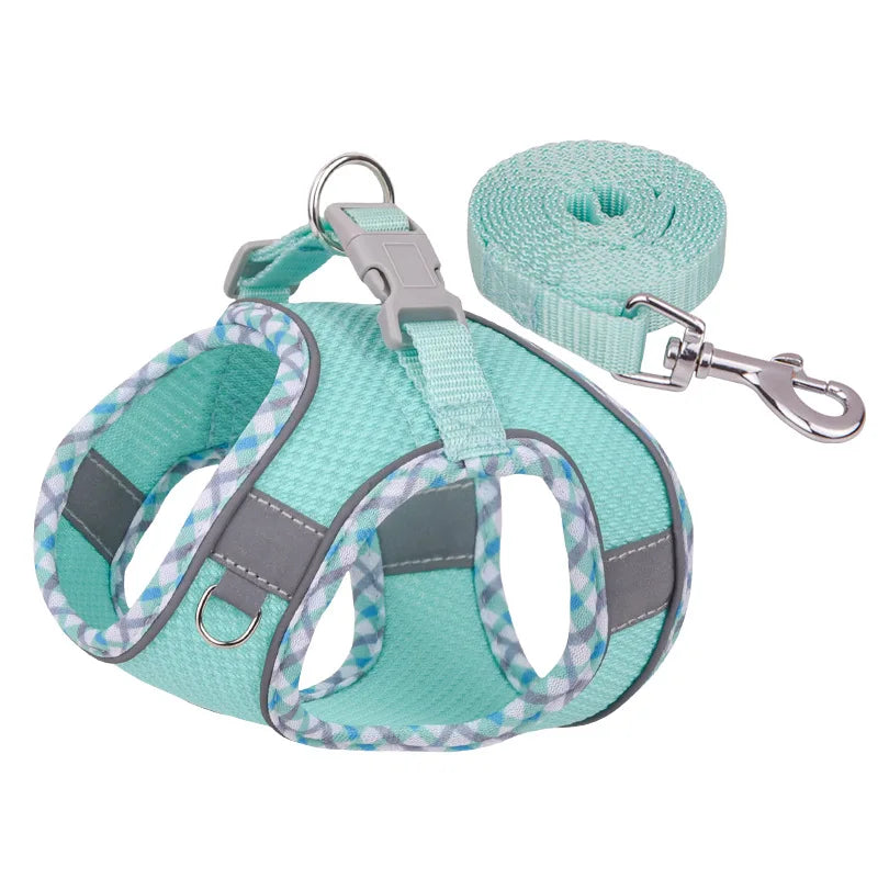 Adjustable Dog Harness and Leash Set