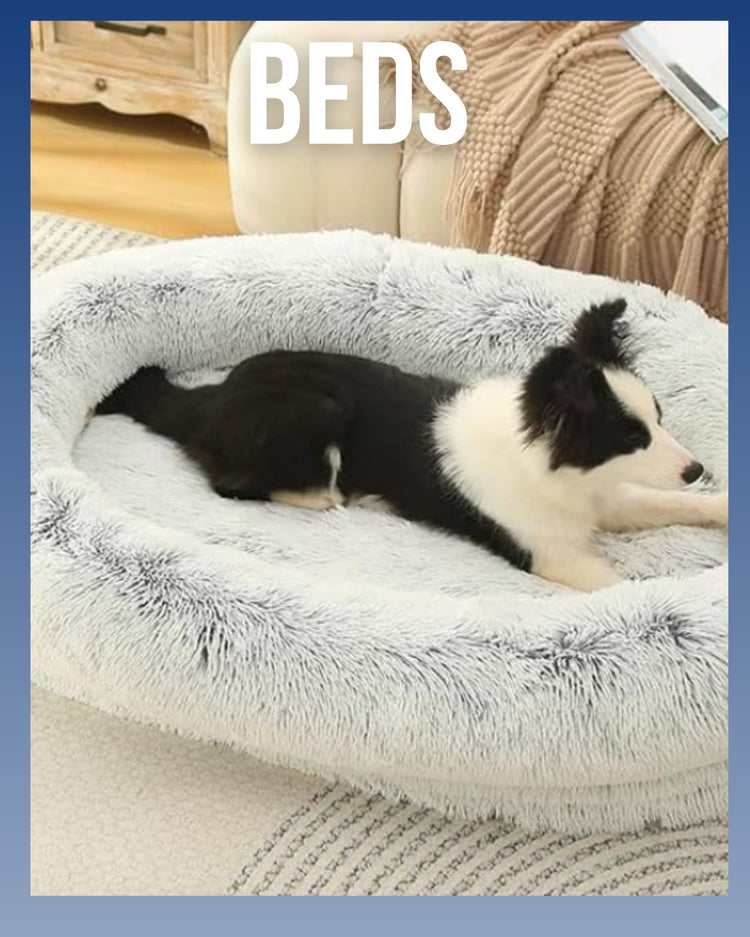 BEDS