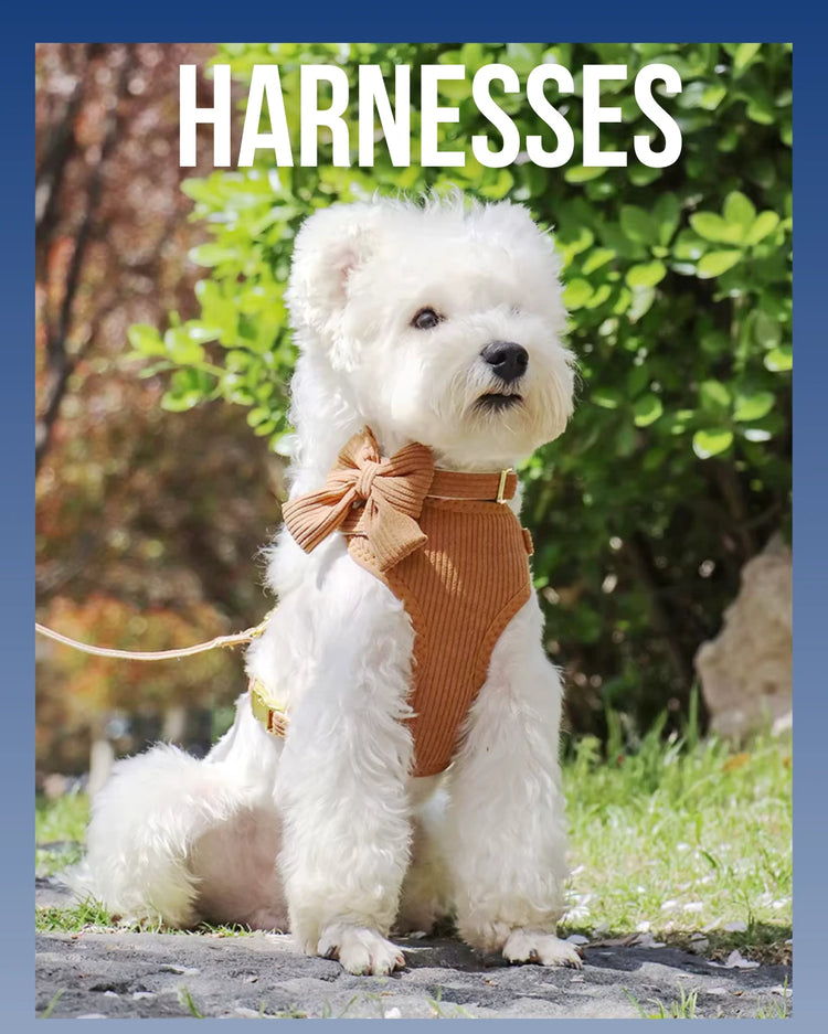 HARNESSES
