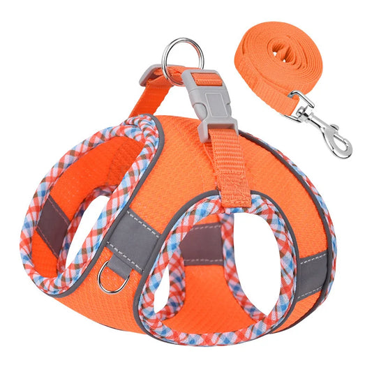 Adjustable Dog Harness and Leash Set